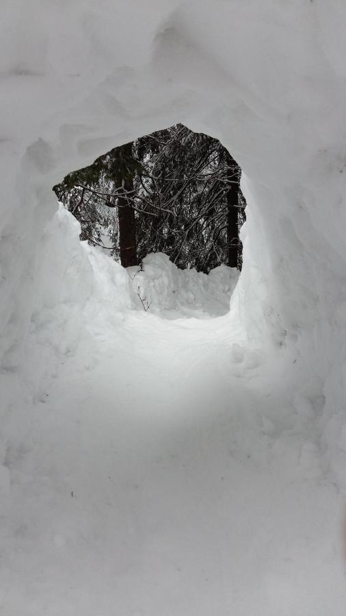 Apartmany Biela Put 17 - 18 Demänovská Dolina Buitenkant foto